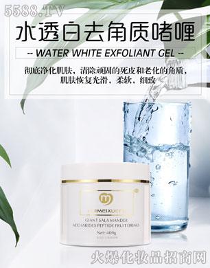 �V������������Ƽ����޹�˾���C��ѩ�wˮ͸��ȥ���|(zh��)���