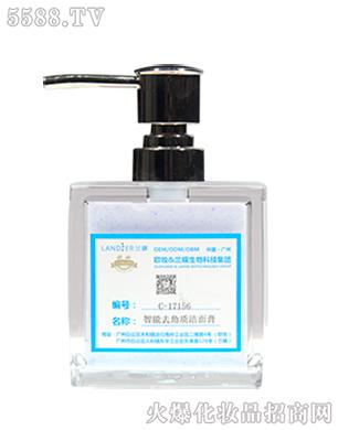 �V���m������Ƽ����޹�˾��C-17156����ȥ���|(zh��)�����