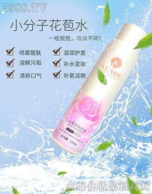 �ɍ�����Ƽ����V�ݣ����޹�˾��ѩ�m��С���ӻ���ˮ