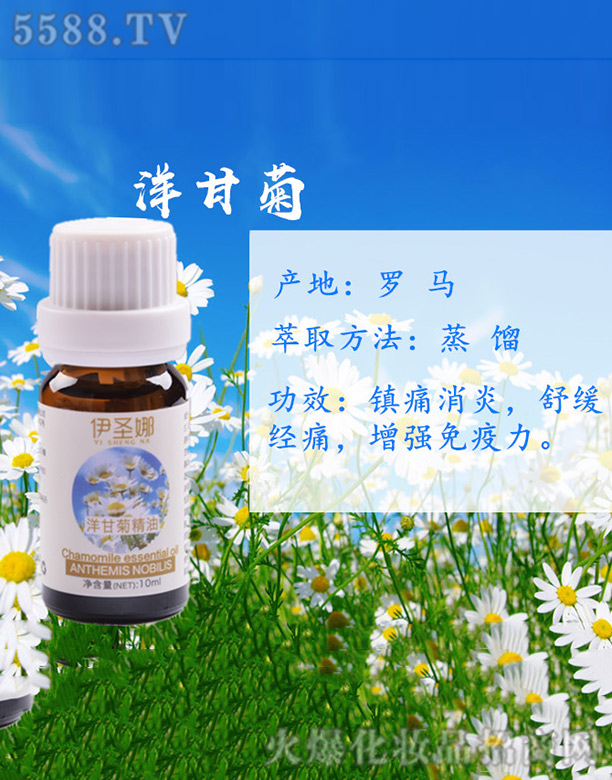 ܽ��飨�Ϻ������yƷ���޹�˾����ʥ����ʾվ���