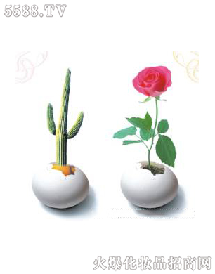 �Ϻ���������Ƽ����޹�˾����ǻ�ޏ�(f��)3��ɆT