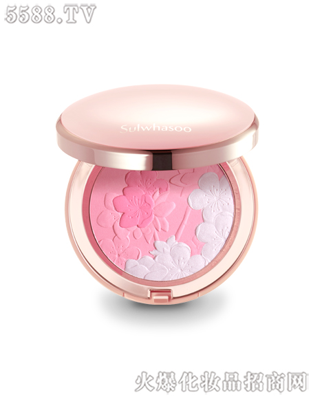 ��(��i)���򻯊yƷ���Ϻ������޹�˾��ѩ���㬓�����t