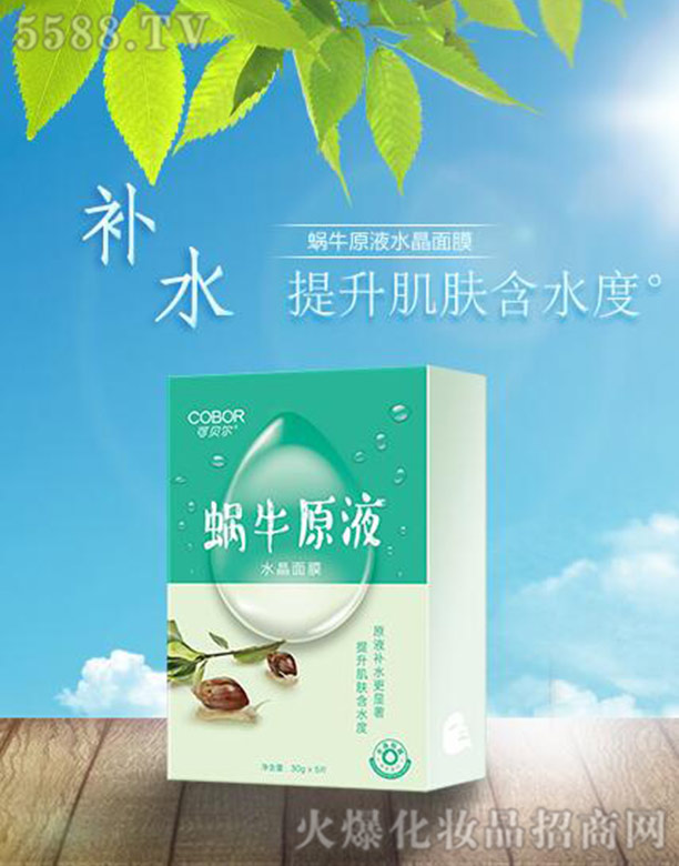 �Ϻ����{���������g���޹�˾��΁ţԭҺ��Ĥ5Ƭ