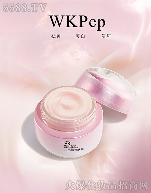 �V�|��������Ƽ����޹�˾����������w˪