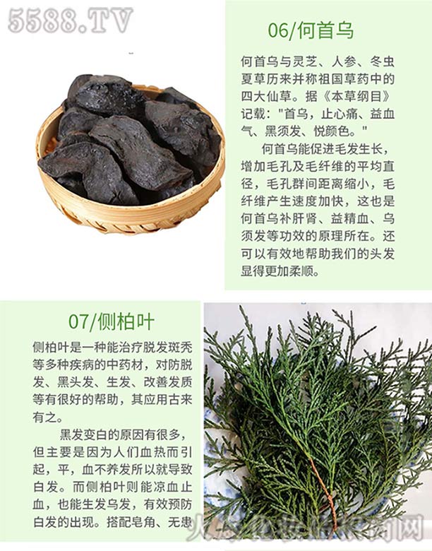 Ȫ���ֿ��t(y��)ˎ���޹�˾���l(f��)ѾѾ�ݱ�ֲ�����ϴ�l(f��)�飨���מ�����(c��)���~��