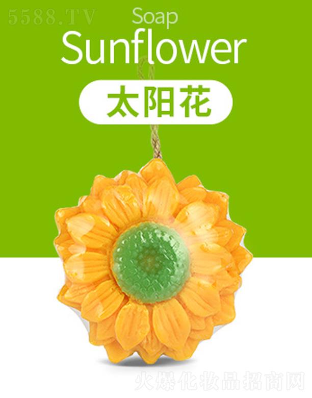 �V���G������Ƽ����޹�˾����ܽ��̩��(gu��)3D̫�(y��ng)��������