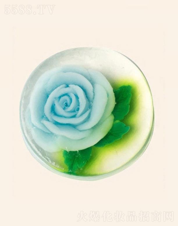 �V���G������Ƽ����޹�˾����ܽ���{ɫ�A���ֹ���