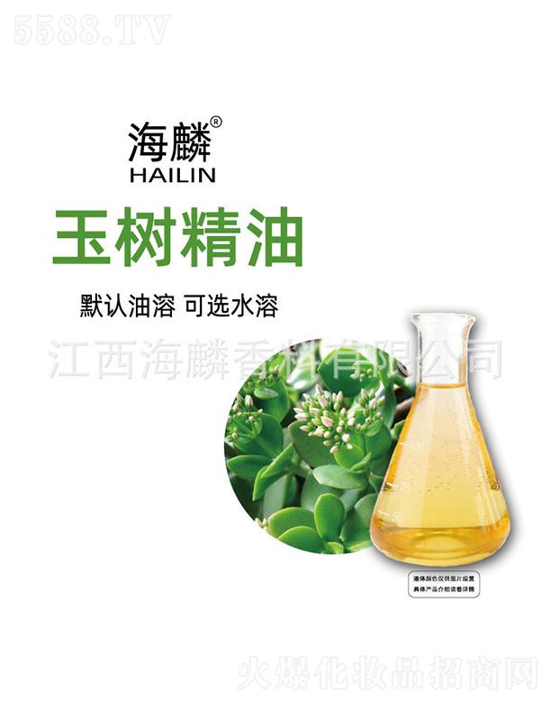 ���������㾫���޹�˾��������侫��