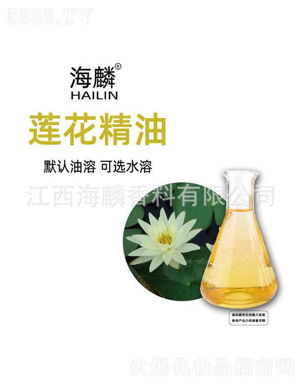 ���������㾫���޹�˾������ɏ������