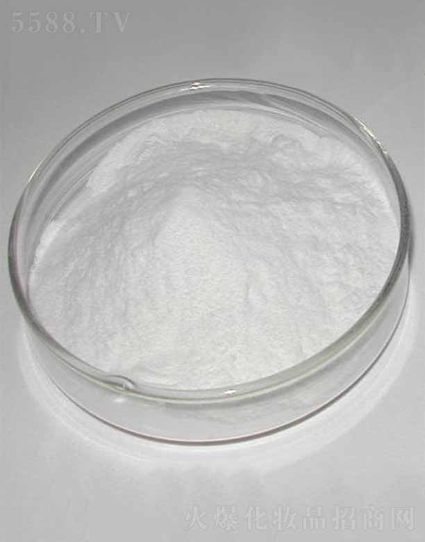 �ɶ������������޹�˾������-9/������/������