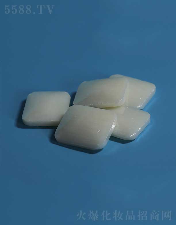 �P�ݻ��i�ջ���Ʒ���޹�˾��������TMH-014