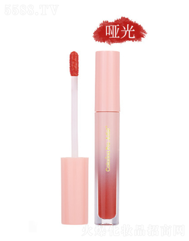 �㽭�����Ƽ����޹�˾��ܽ���{8ɫ����-����ɫ