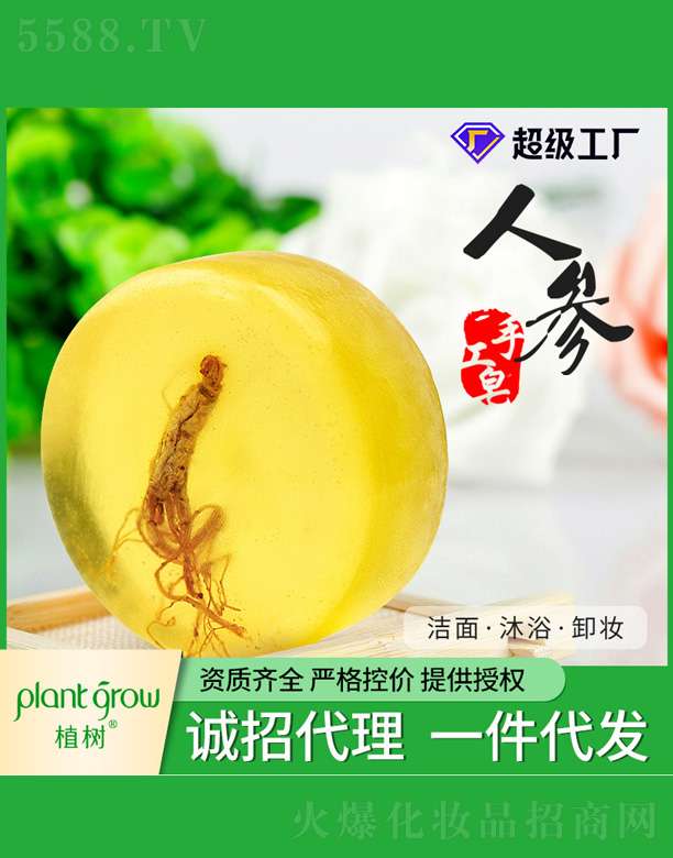 �V�|�������Ƽ����޹�˾��ֲ���˅���