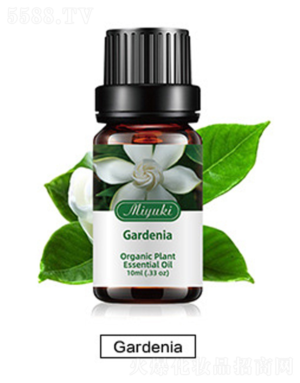 �V���׋I����Ƽ����޹�˾���o�w��޹��Ħ��-Gardenia�d��