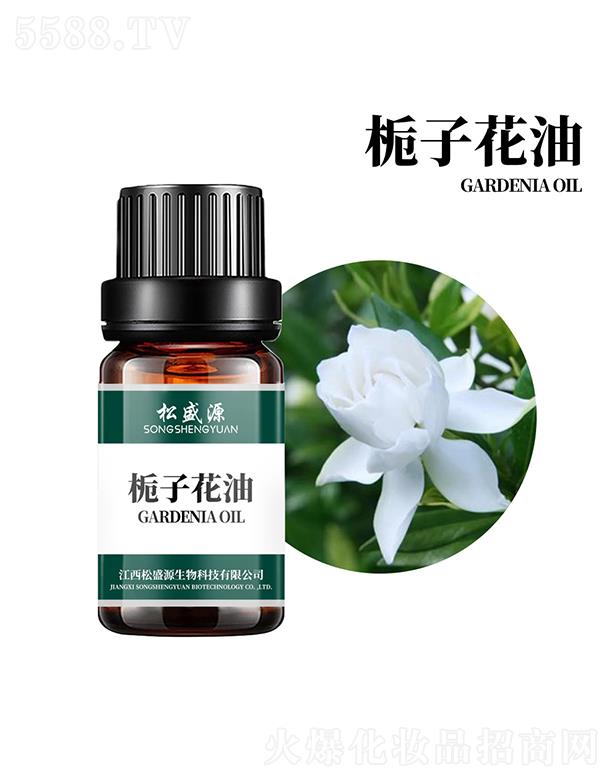 ������ʢԴ����Ƽ����޹�˾����ʢԴ�d�ӻ���