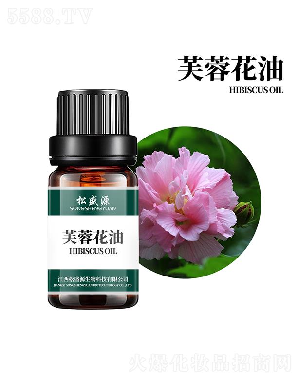 ������ʢԴ����Ƽ����޹�˾����ʢԴܽ�ػ���