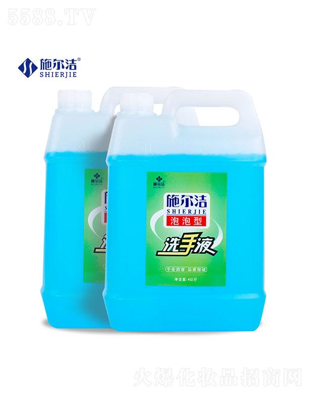 ������ʩ�������﹤�����޹�˾��ʩ��������ϴ��Һ--4L