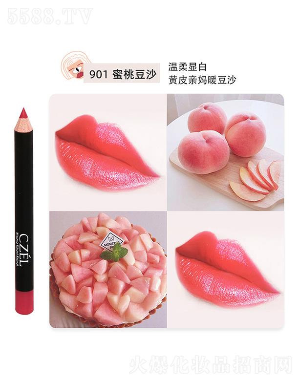 �㽭���`�Pˢ���޹�˾��CZEL��˽q�F΢�񴽾��P901���Ҷ�ɳ