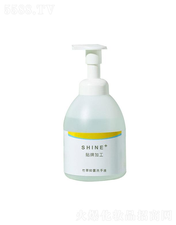 �V�|�����������＼�g���޹�˾���V�|��������   �������������־�ϴ��Һ   �غͲ�����