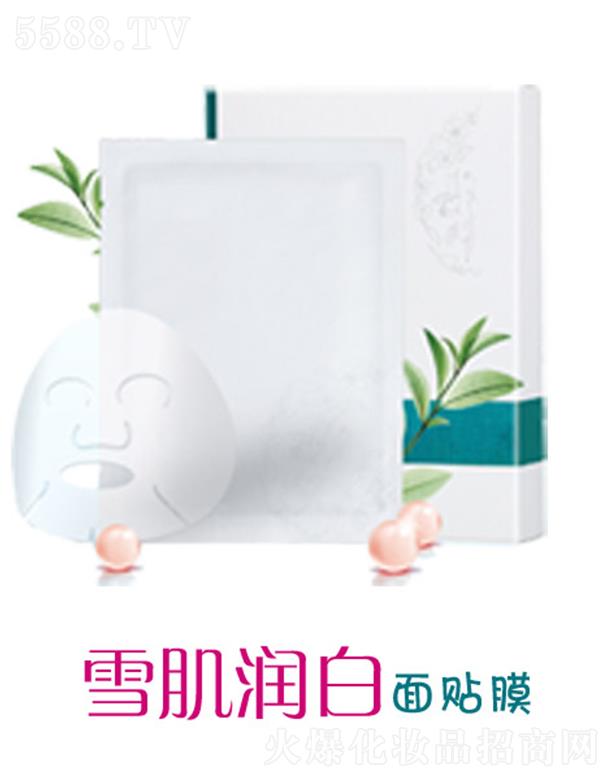 �V����ʩ����Ƽ����޹�˾����ʩѩ���������NĤ