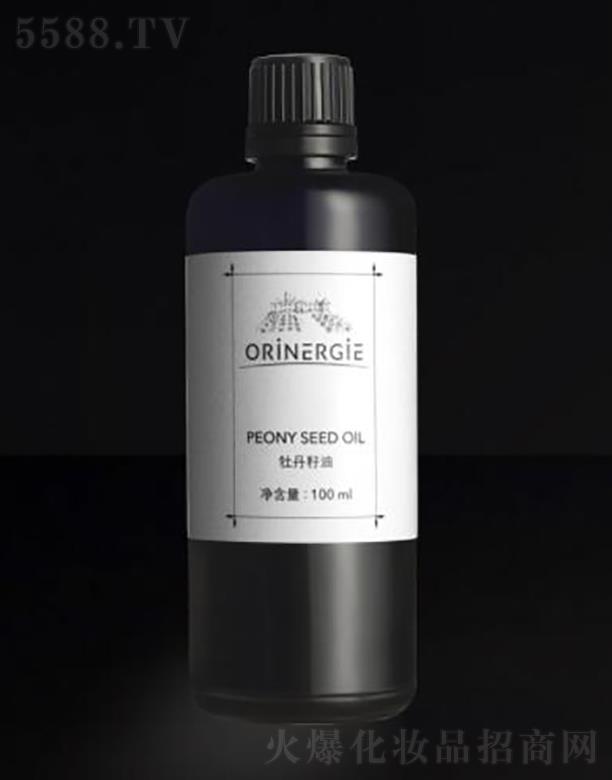 �W��{�������ڣ����ݿƼ����޹�˾��ORiNERGiEĵ������