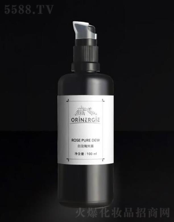 �W��{�������ڣ����ݿƼ����޹�˾��ORiNERGiE��õ�弃¶