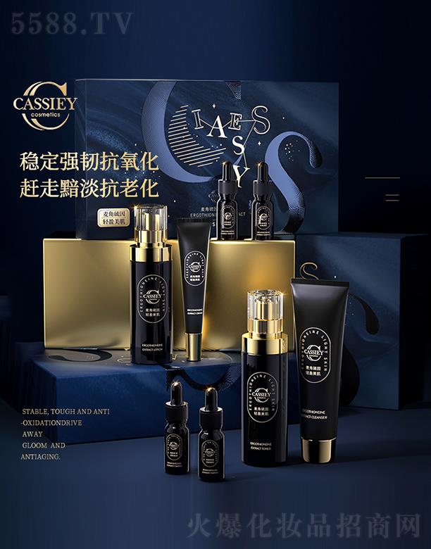 �V�|���z�ə�Ͷ�Y���F���޹�˾��CASSIEY��������������