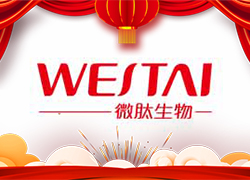 �����͸����_�T�����V��΢�Ľo����������