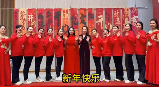 蛇年好運(yùn)至，幸福滿人間！飛斯達(dá)祝您百事從歡，一路向陽！