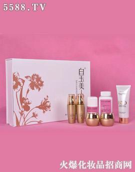 ����Ľʢ����Ƽ����޹�˾��ʢ�̰������ˡ���ɫ�{���߼���