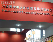 ����ޱ��ؐ컿عɼ��F(tu��n)���޹�˾¡��������