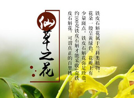 ���ݾS�~Ī����Ƽ����޹�˾