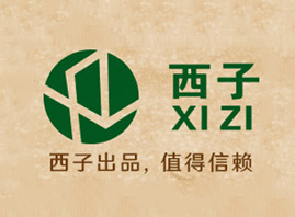 �V����������Ƽ����޹�˾