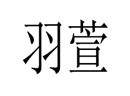 �V����������Ƽ����޹�˾