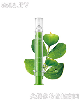 ���ޢ����(chu��ng)ľ��������A��