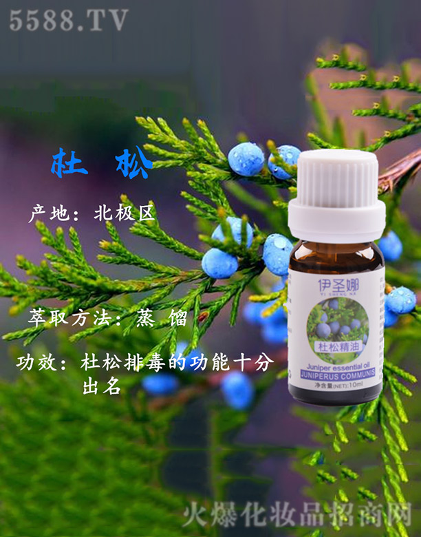 ��ʥ�ȶ��ɾ���