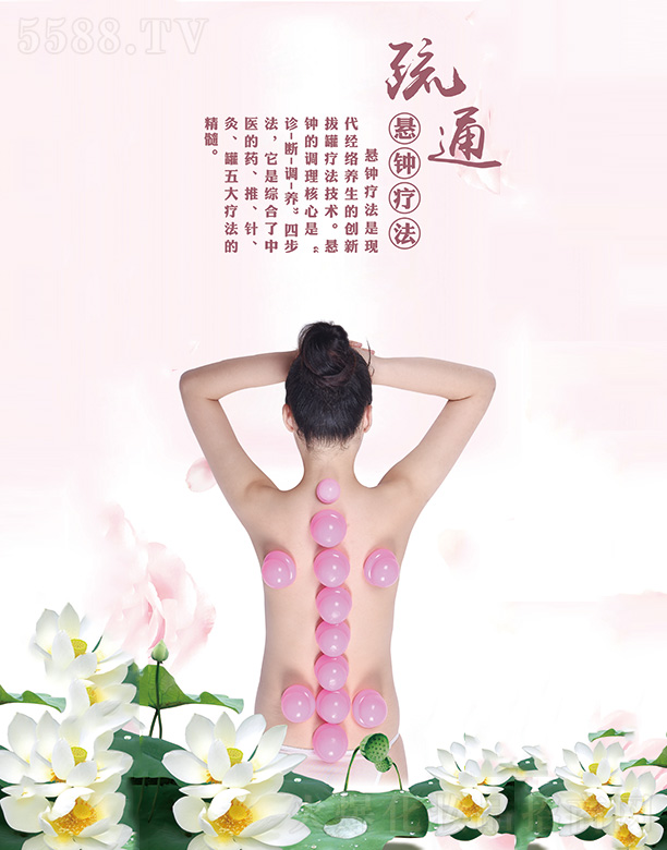 �A٢�ĺ����ĵ�������b