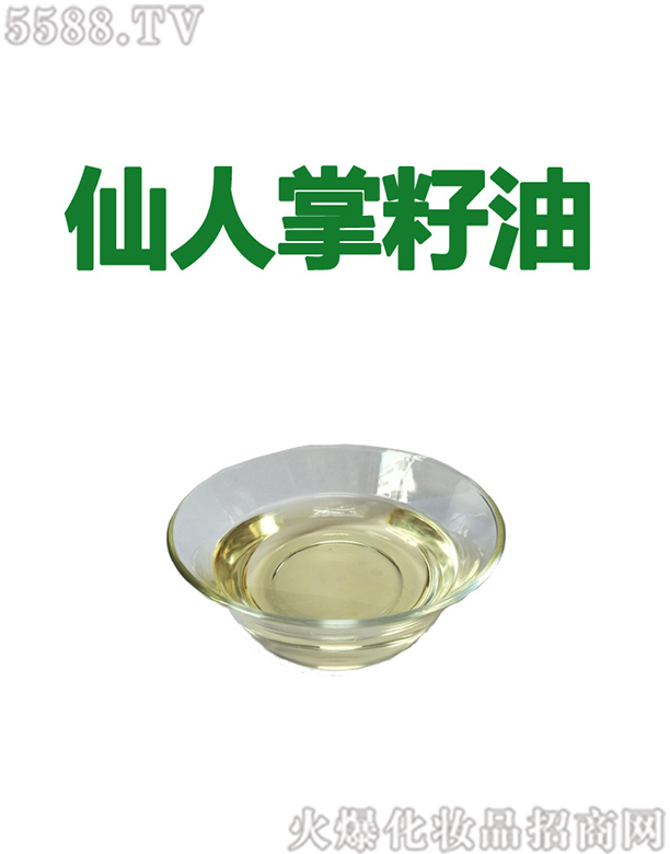 �V�ݰ��������Ƽ����޹�˾�����������������