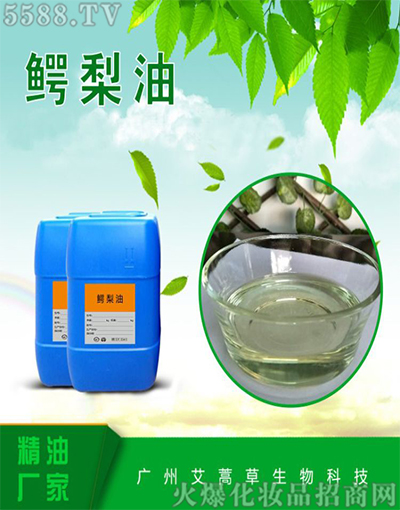 ������{����