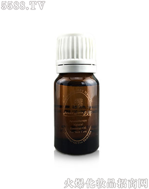 ���Z�������㾫��