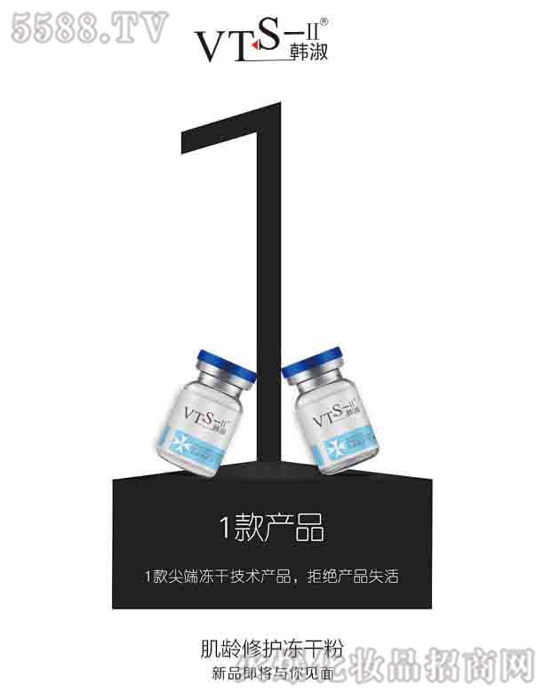 VTS���g���o���ɷ�