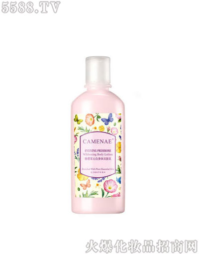 ���Ę���Ѳ��߰����w��(r��n)�w��