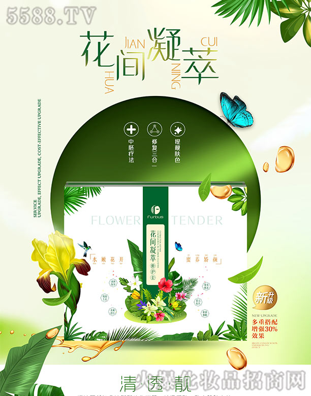 ��֥�����g�������o��