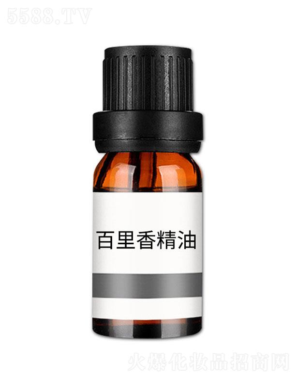 ���n�����㾫��