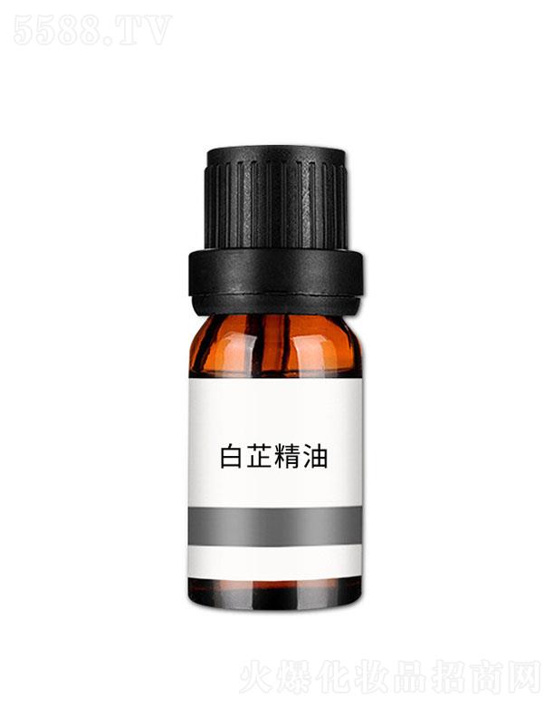 ���n���ƾ���