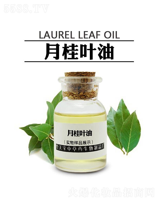 �A�쌚�¹��~��