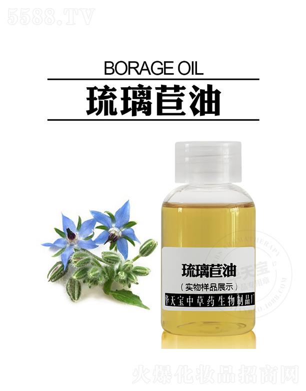 �A�쌚��������