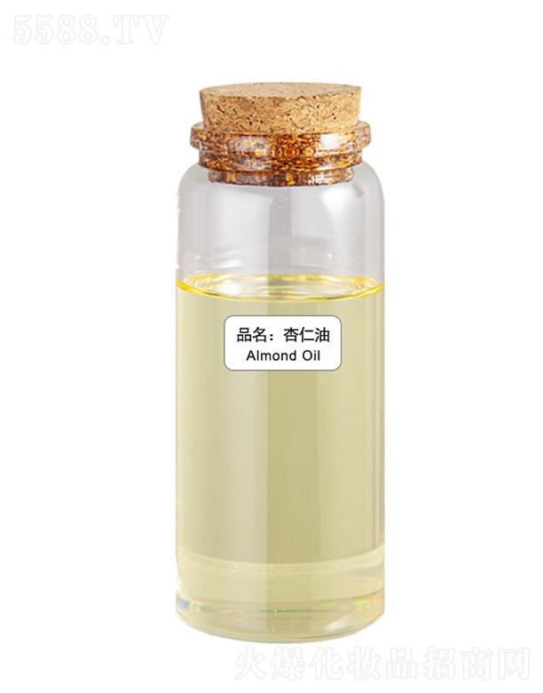 ɭ��������