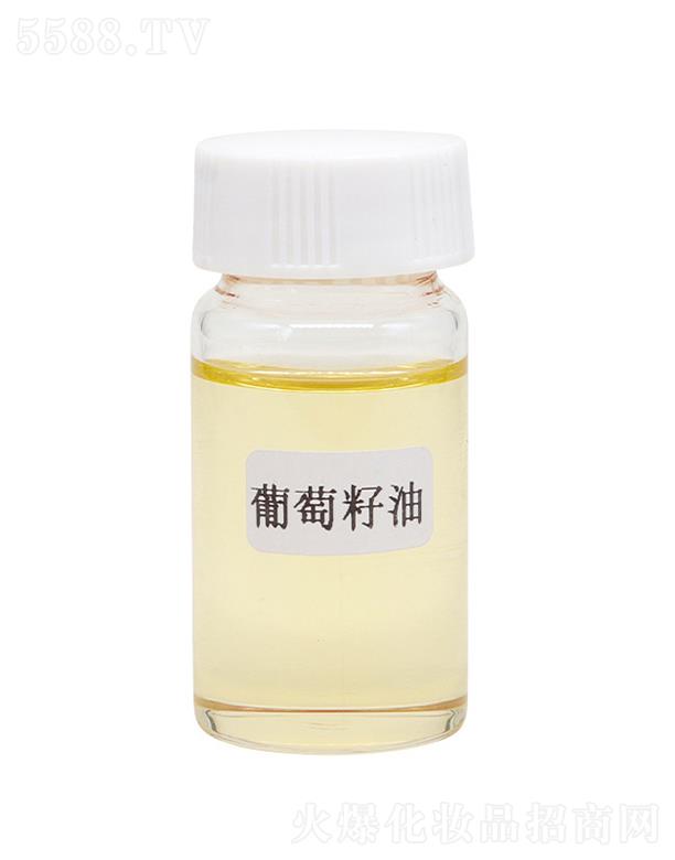 ��˹���������