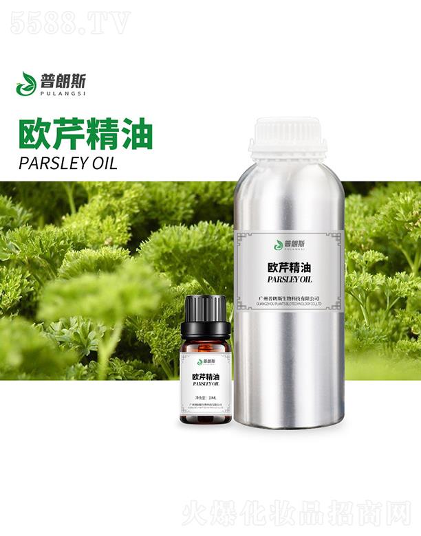 ����˹�W�۾���